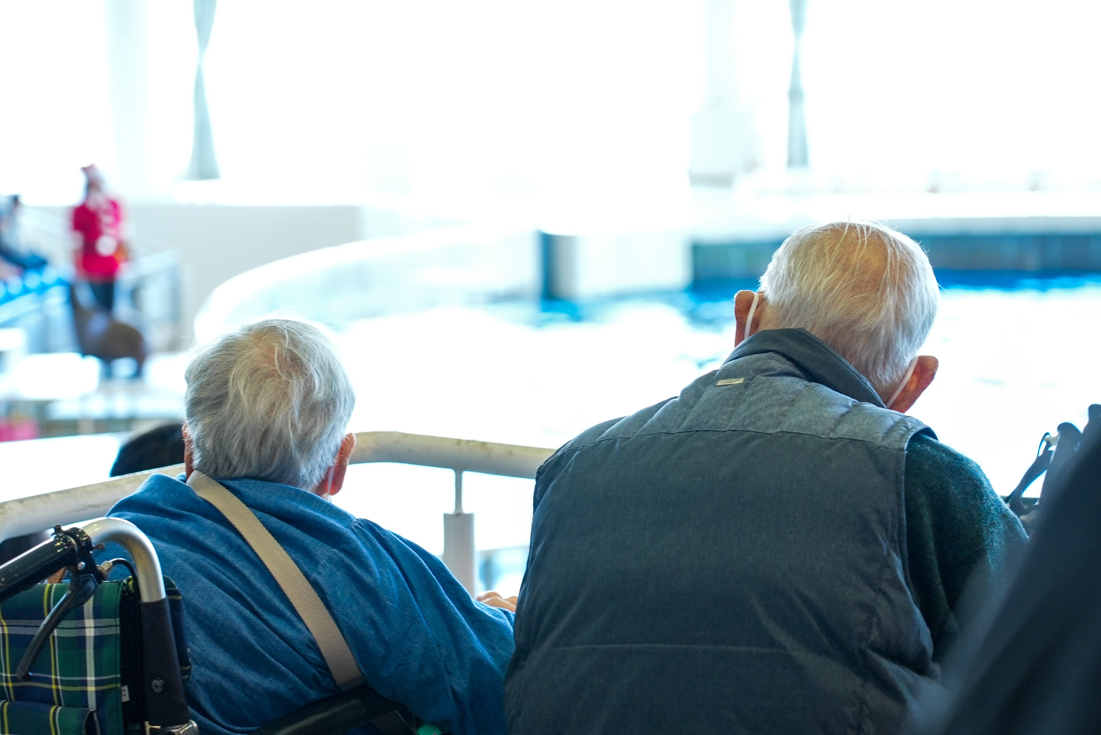 水族館で静かにイルカショーを見つめるご夫婦の穏やかな後ろ姿に、スタッフは胸を打たれました