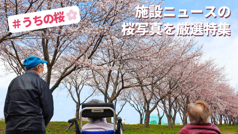 #うちの桜_サムネ